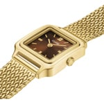 Cluse Gracieuse Mini Watch Mesh Gold / Braun - CW15511