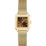 Cluse Gracieuse Mini Watch Mesh Gold / Braun
