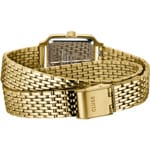 Cluse Gracieuse Petite Double Steel Forest Green / Gold Colour - CW11811