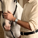 Cluse Quadrus Multifunction Day Date Steel Silver / Two-Tone - CW26201