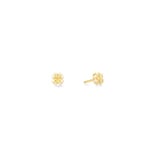 Coeur de Lion Statement Collection Spike Square Earrings 6mm Gold - 1012/21-1600