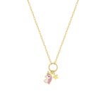 Collier 375/9 K Gelbgold mit Einhorn & Stern Charms