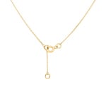 Collier or jaune 750/18 ct avec diamant 0.015ct. H/p1 - QD535XB4-42