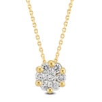 Collier mit Anhänger 750/18 K Gelbgold mit Diamanten 0.18 ct H/si - AN-097256-GG