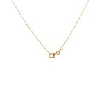Collier mit Anhänger 750/18 K Gelbgold mit Diamanten 0.22 ct H/si - AN-096888-GG