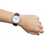 Daniel Wellington Classic St. Mawes Lady Ø 36mm - DW00100052