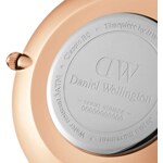Daniel Wellington Petite Rosewater 36mm - DW00100360
