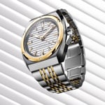 Edox Delfin 1973 Automatic 41mm - 80142 357JM AID