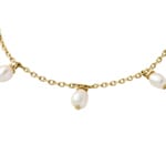 Emporio Armani Eagle Logo Bracelet Faishon - EGS3198710