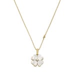 Emporio Armani Sentimental Collier Clover Lover - EGS3347710