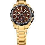 Festina Chrono Bike 2025 Goldig / Braun - F20727/3