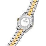 Festina Swiss Classic Steel Date Two-Tone / Blue 40mm - F20085/B