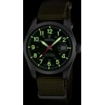 Festina Swiss Field Nato Date Olive / Vert - F20082/2