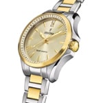 Festina Solar Energy Bicolor 34mm - F20655/3