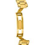 Festina Swiss Rivé Date 40mm Golden / Silvery - F20057/1