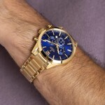 Festina Timeless Chrono - F20633/2