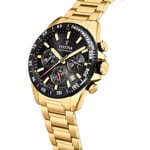 Festina Timeless Chrono Gold / Black - F20634/5