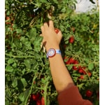 Flik Flak Hedgehugs - ZFBNP148