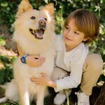 Flik Flak Skating Frenchie - FPSP075