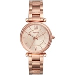 Fossil Carlie