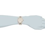 Fossil Cecile - AM4481