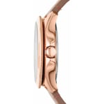 Fossil Cecile - AM4532