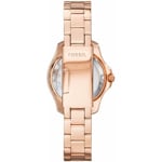 Fossil Cecile Small - AM4578