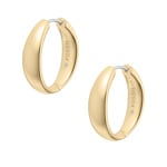 Fossil Créoles Ellis Domed Collection Moyen