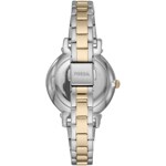 Fossil Daisy Set - ES5249SET