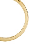 Fossil Bague Metamorphosis - JF04800710