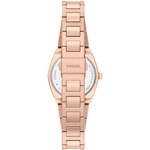 Fossil Everett 27mm - ES5491