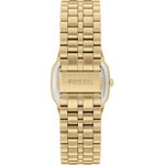 Fossil Harlow Goldig / Schwarz 33mm - FS6213