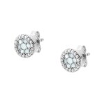 Fossil Boucle d'oreilles Sterling Silver Glitz - JFS00518040
