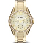 Fossil Riley