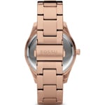 Fossil Stella - ES3003