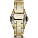 Fossil Stella - ES3589