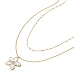 Fossil Sutton Collier multirang The Flower Collection en nacre - JF04969710