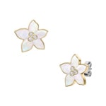 Fossil Sutton Clous d'oreilles The Flower Collection en nacre - JF04973710