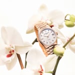 Frederique Constant Highlife Ladies Automatic Diamonds Rosé - FC-303VD2NHD4B