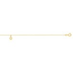 Fusskette 750/18 K Gelbgold mit Stern Charm - F30TCH2