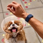 Garmin Cirqa Smart Band Kapitänsblau L–XL - 010-04675-03
