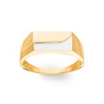 Men's Ring 750/18 K Yellow and White Gold - PR11389