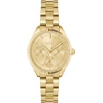 Hugo Boss Sage Sport Day Date Gold