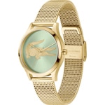 Lacoste Crocodelle Gold / Green - 2001417