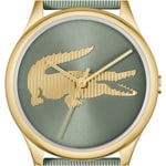 Lacoste Crocodelle Gold / Green - 2001481