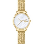 Lacoste Crocodelle Goldig / Weiss