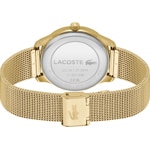 Lacoste Lisbon Doré / Vert - 2011479