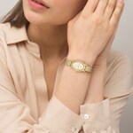 Lacoste Parisienne 22mm Gold - 2001453