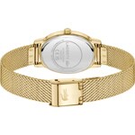 Lacoste Parisienne 22mm Gold - 2001453