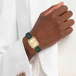 Lacoste Parisienne 23mm Gold / Green - 2001442